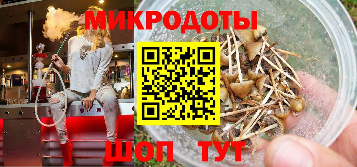 как найти закладки  Галлюциногенные грибы мицелий  Горно-Алтайск  Вход с VPN  Псилоцибиновые грибы мицелий 