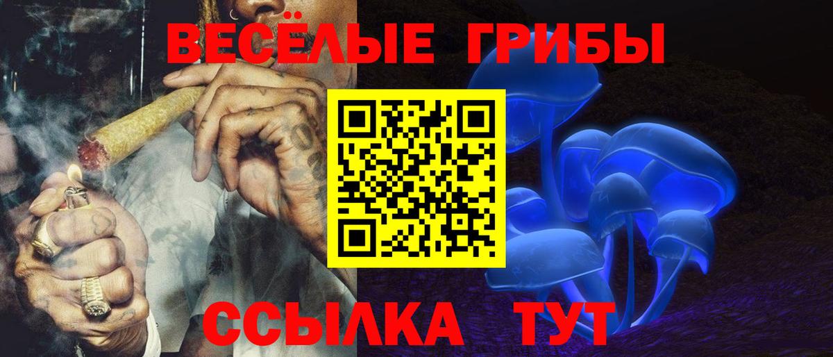 Галлюциногенные грибы прущие грибы Горно-Алтайск